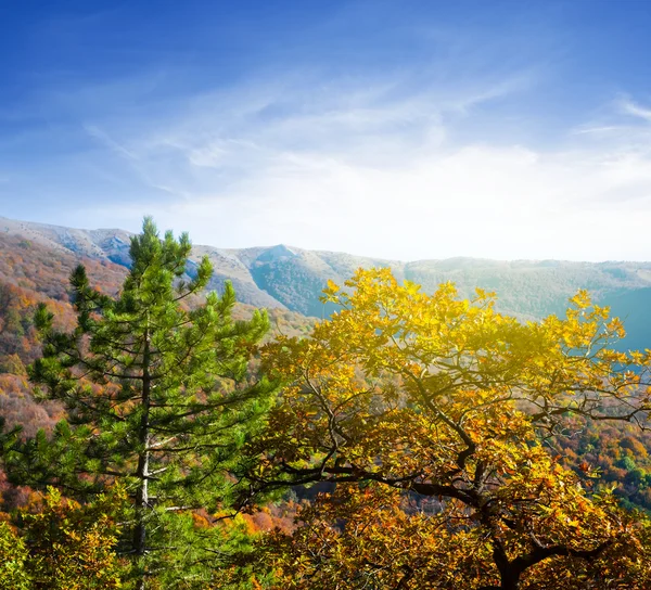 Berget dalen scenen — Stockfoto