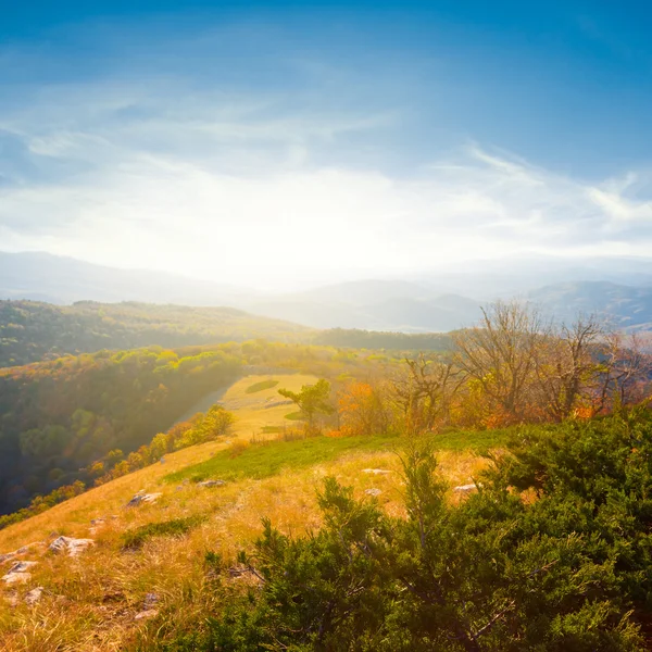 Pendiente de la colina en un rayo de sol — Foto de Stock