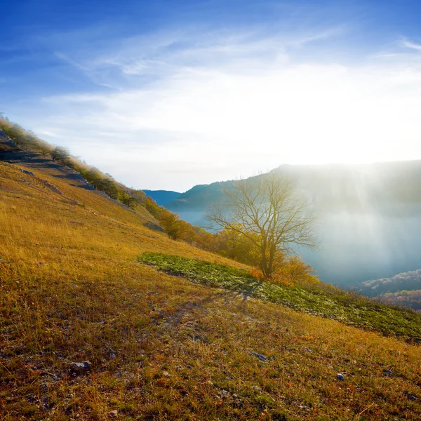 Primavera scena di montagna — Foto Stock