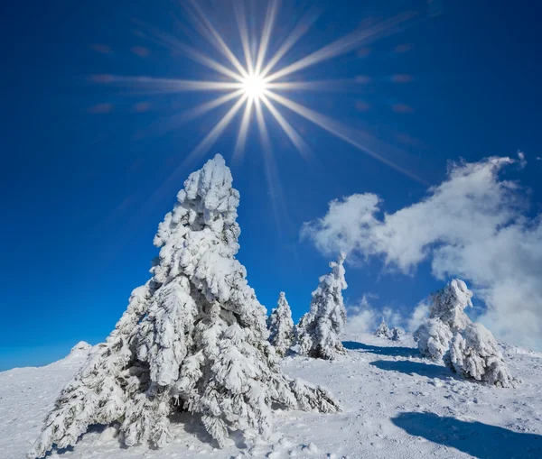 Winter zonnige dag scène — Stockfoto