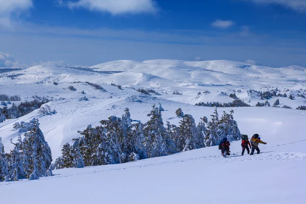 Escena de caminata de invierno — Foto de Stock