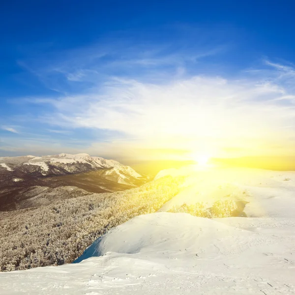 Szene aus der Winterlandschaft — Stockfoto