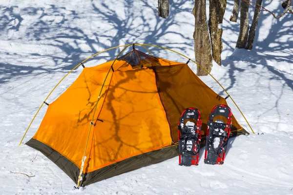 Pomarańczowy namiot turystyczne w lesie zimą — Zdjęcie stockowe
