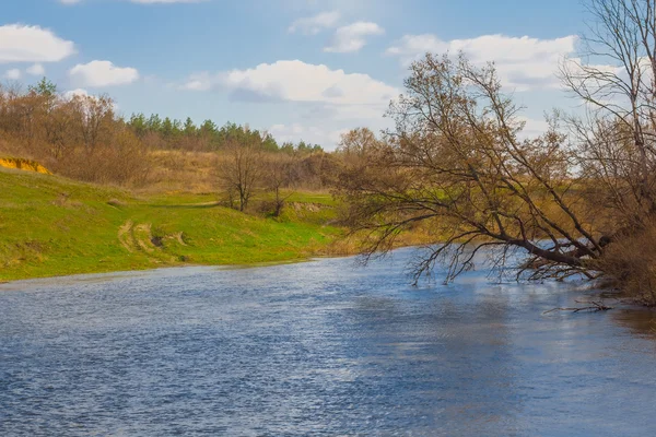 Springflussszene — Stockfoto