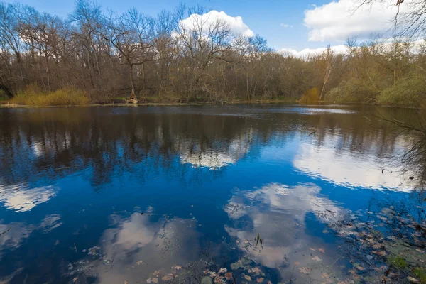 Hermoso lago bosque tranquilo — Foto de Stock