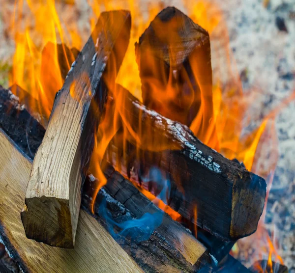 Primo piano fuoco — Foto Stock