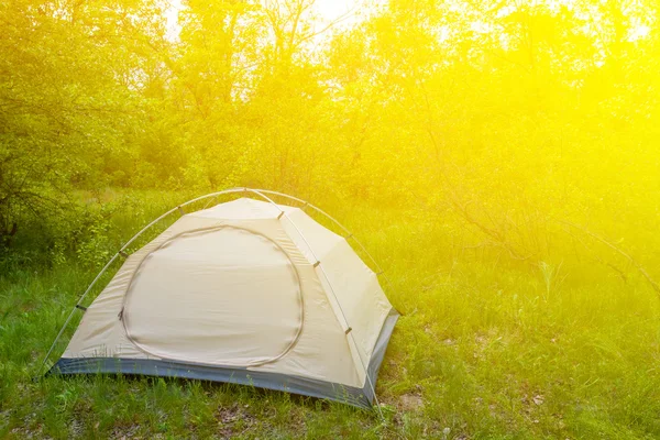 Tenda turistica bianca in una radura verde della foresta — Foto Stock