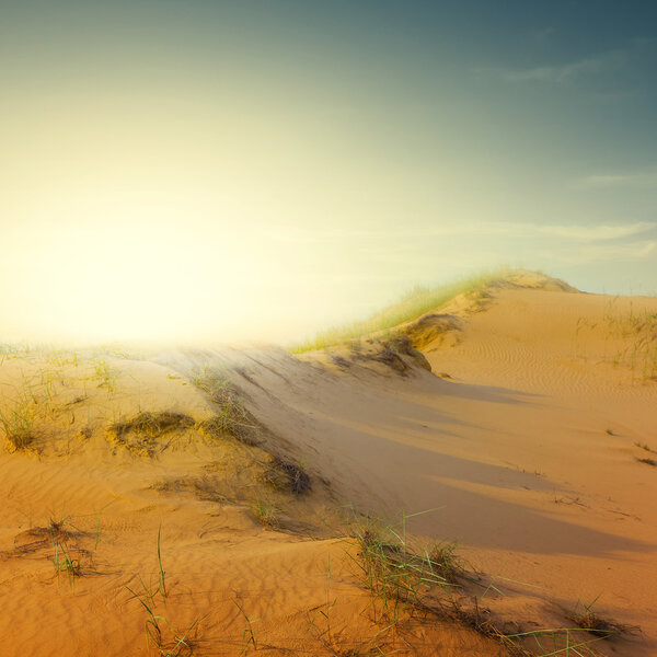 Sand desert scene