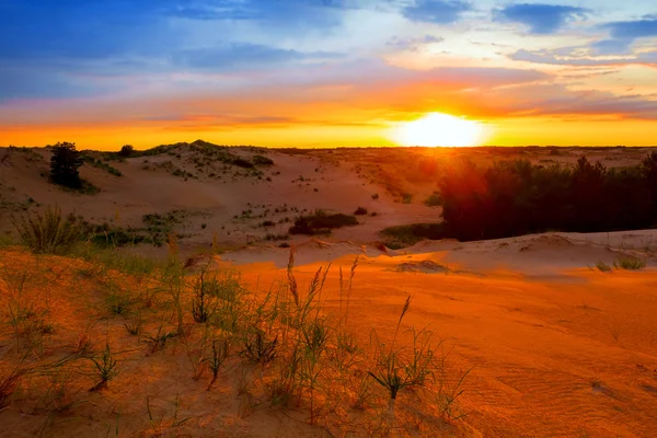 Rustige avond zand woestijn — Stockfoto