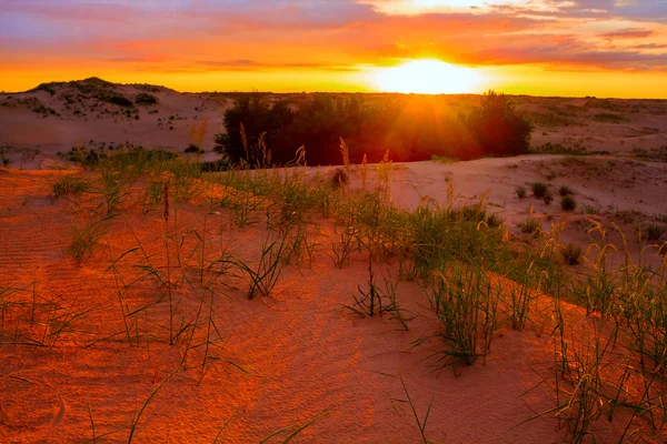 Pôr do sol sobre um deserto — Fotografia de Stock