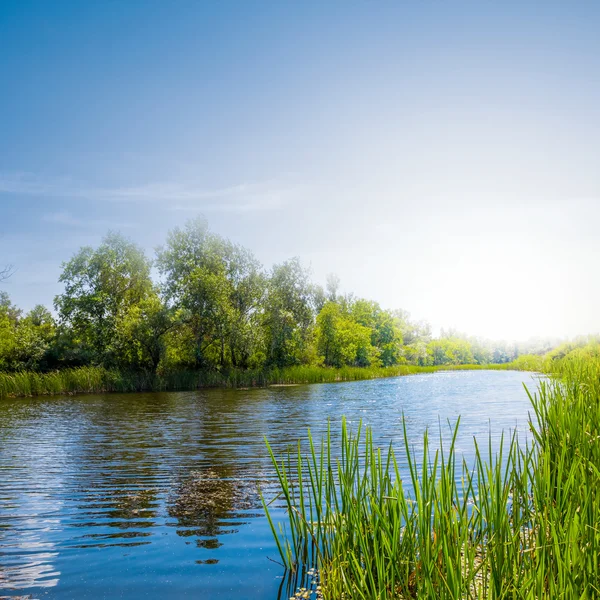 Zomer rivier scène Stockfoto