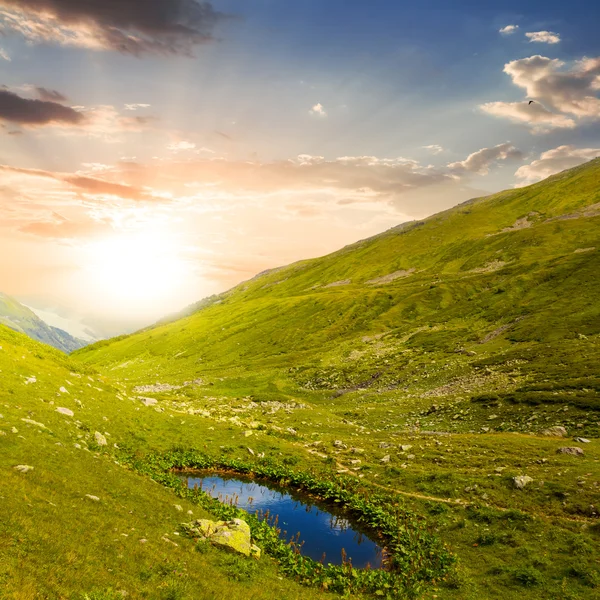 Small lake in a green mountains — Stock Photo, Image