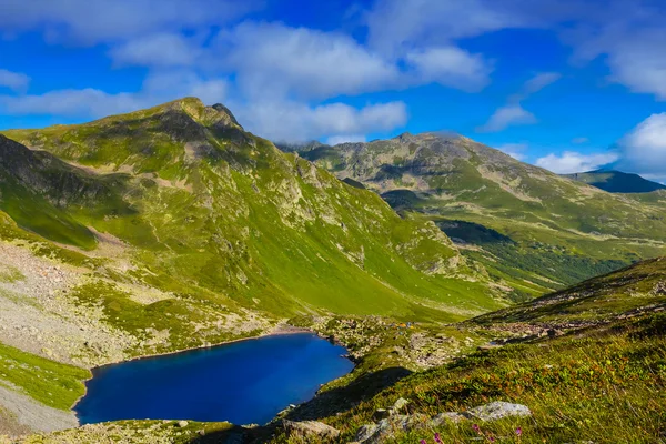 Groene bergen — Stockfoto