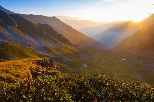 Berget dalen vid soluppgången — Stockfoto