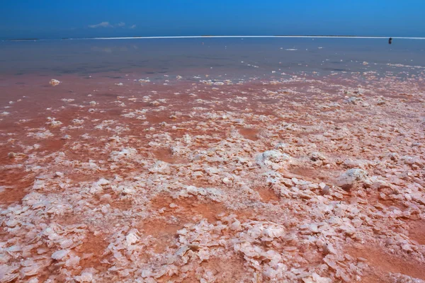 Red salt lake scene — Stock Photo, Image