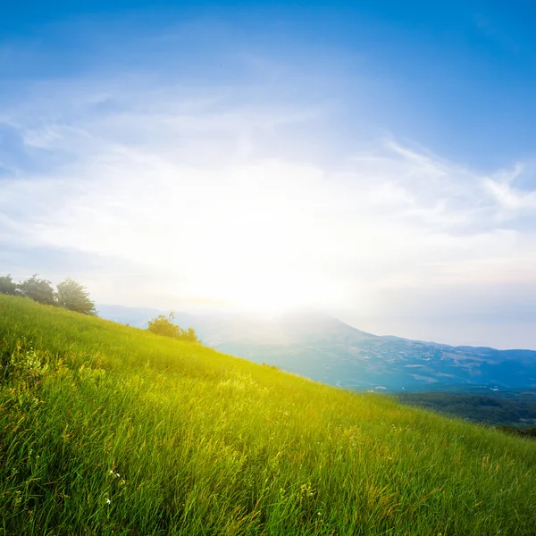 Coucher de soleil sur une colline verdoyante — Photo