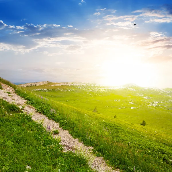 Sentiero turistico attraverso verdi colline — Foto Stock