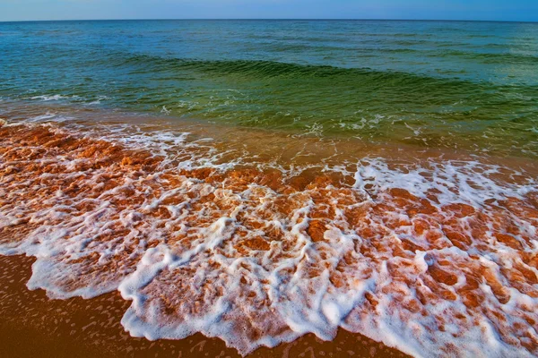 여름 바다 해변 — 스톡 사진