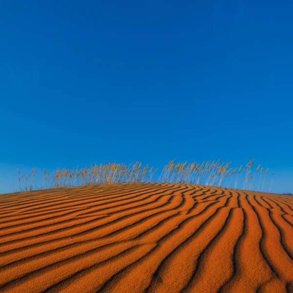 Duna del desierto de arena — Foto de Stock