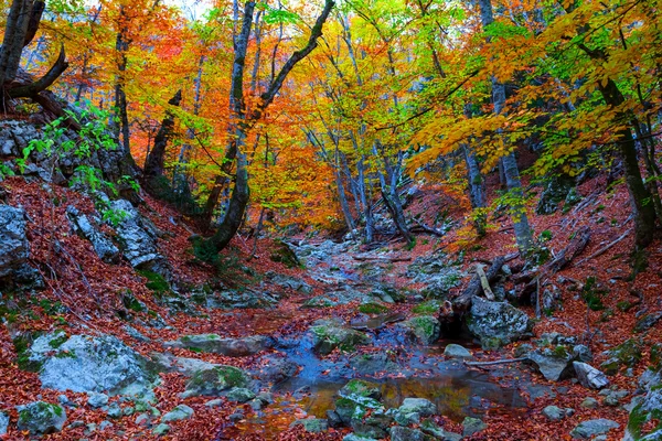 Jesień góra kanion sceny — Zdjęcie stockowe