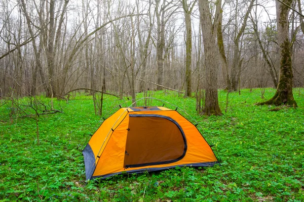 Orange turistiska tält i en skog — Stockfoto