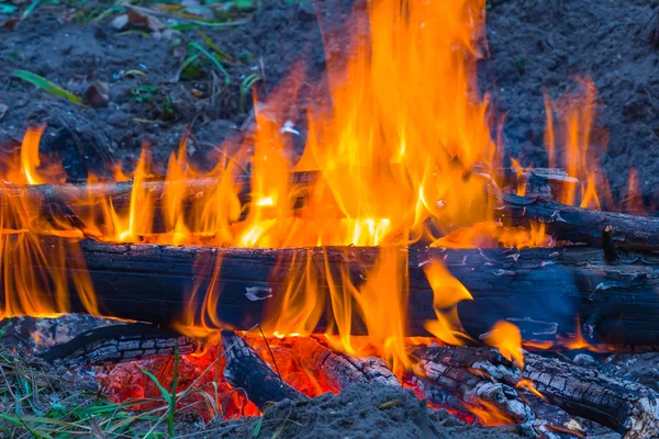 Primo piano fuoco campeggio — Foto Stock