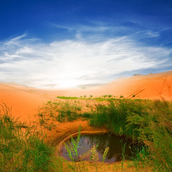 Lake in a sand desert — Stock Photo, Image