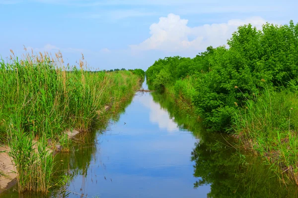 Hermosa escena del canal de riego —  Fotos de Stock