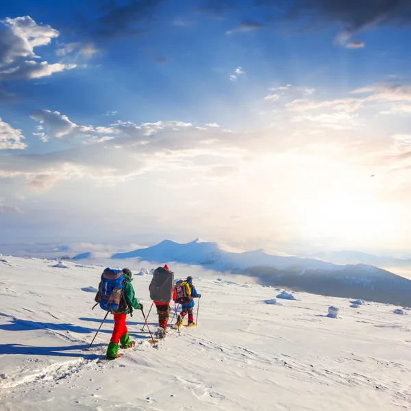 Groupe de randonneurs dans une montagne d'hiver — Photo