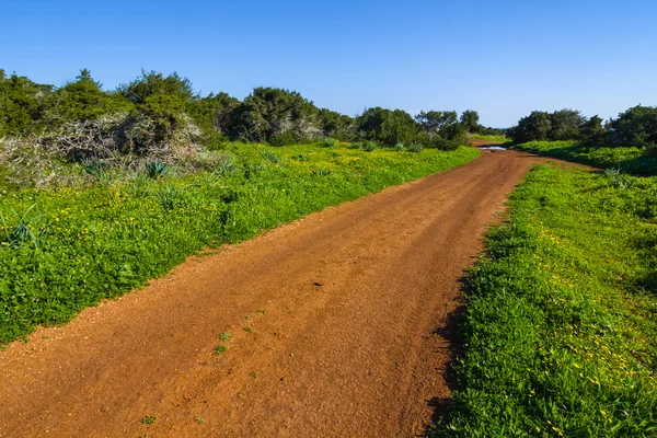 Estrada de barro bonita, capa de akamas, cyprus — Fotografia de Stock