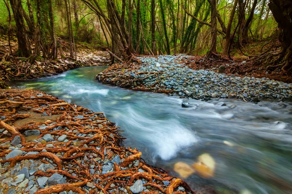 Krásná horská řeka — Stock fotografie