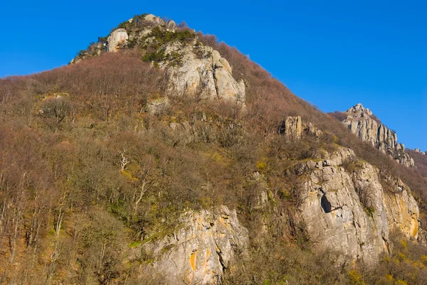 Nahaufnahme oben — Stockfoto