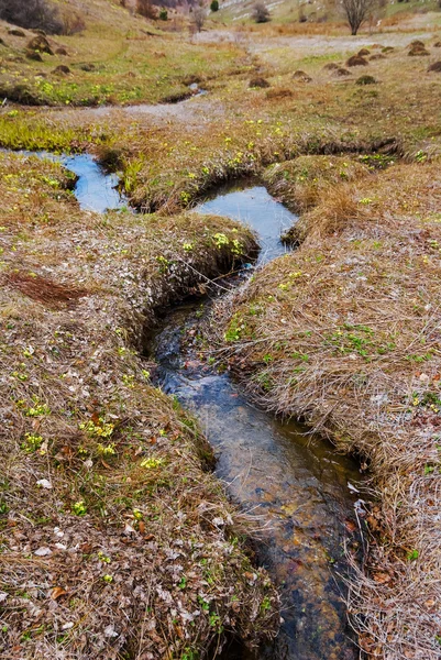 Pequeno riacho de primavera — Fotografia de Stock