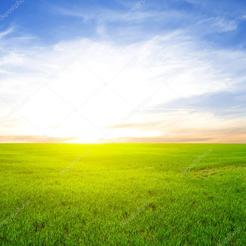 Sunset over a spring fields