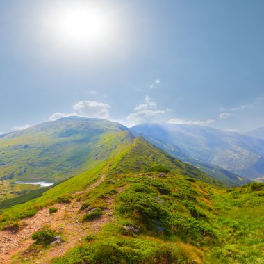 Bir ışıltı güneş altında yeşil dağ