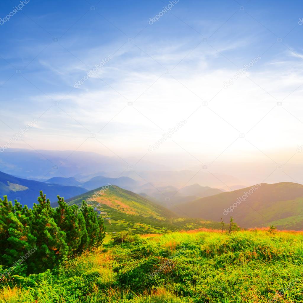 Sunrise over a green mountains