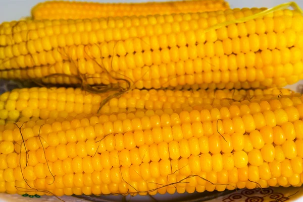 Closeup amadurecer milho — Fotografia de Stock