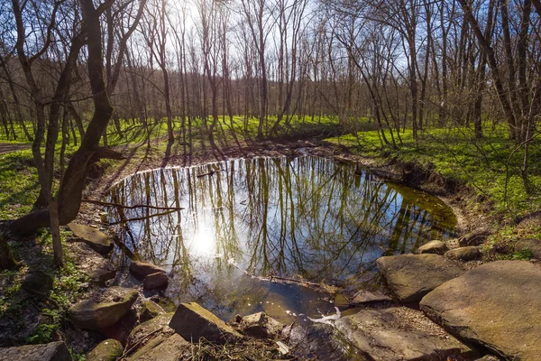 Piccolo lago in una foresta — Foto Stock