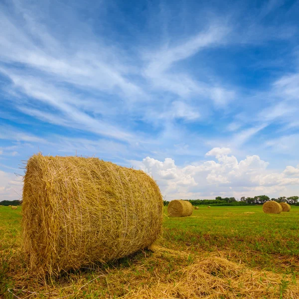 ปิดกองหญ้าบนทุ่งนา — ภาพถ่ายสต็อก