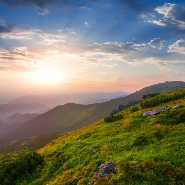 Grüner Berghang bei Sonnenuntergang — Stockfoto