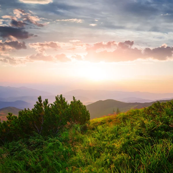Tiché zelené hory na ráno — Stock fotografie