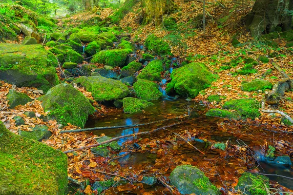 Malý horský potok — Stock fotografie