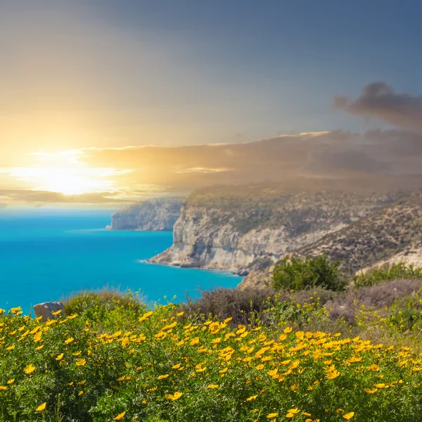 Smaragdgröna havet bay på kvällen — Stockfoto