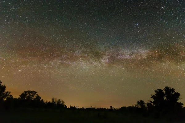 Bosque nocturno — Foto de Stock