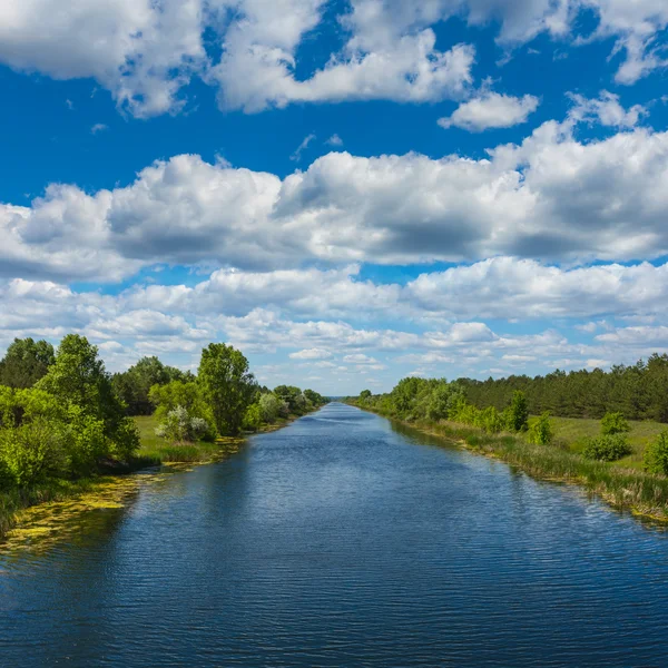 Bellissimo fiume estivo — Foto Stock