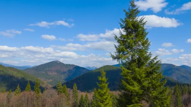 Verde escena de montaña — Vídeos de Stock