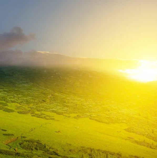 Pôr do sol sobre colinas verdes — Fotografia de Stock
