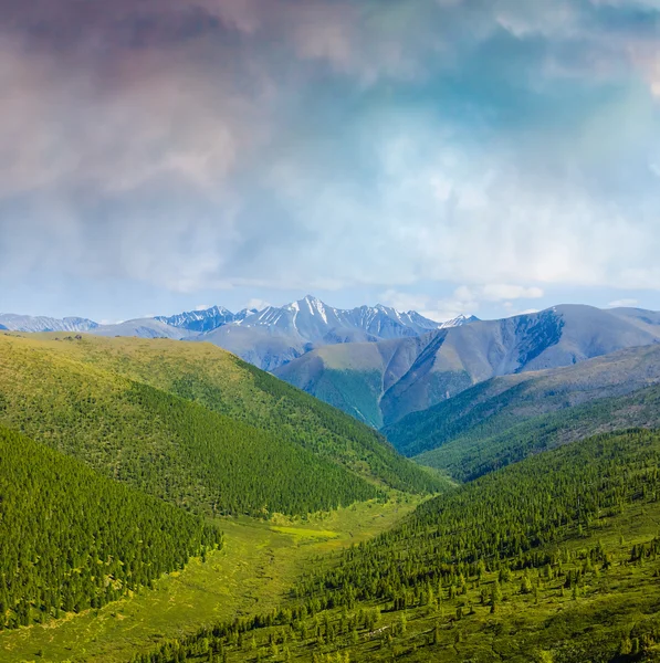 Vackra gröna berg dalen — Stockfoto