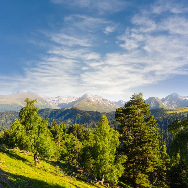 Grüne Berglandschaft — Stockfoto