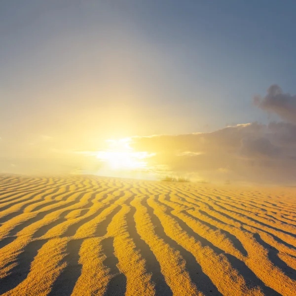 Deserto arenoso ao pôr do sol — Fotografia de Stock
